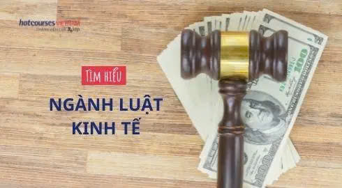 Ngành Luật Kinh Tế Học gì?